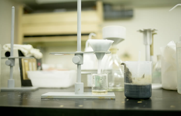 写真:受入検討
